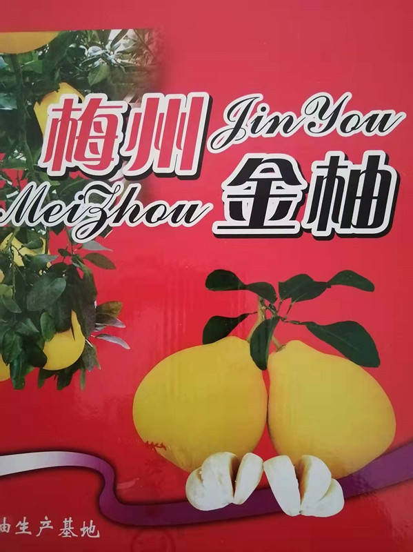 梅州金柚